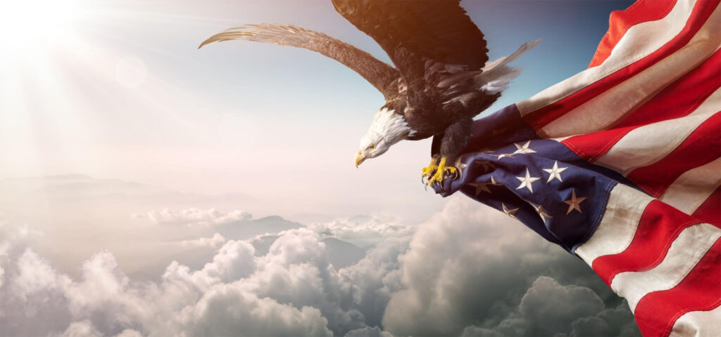 American Eagle and Flag
